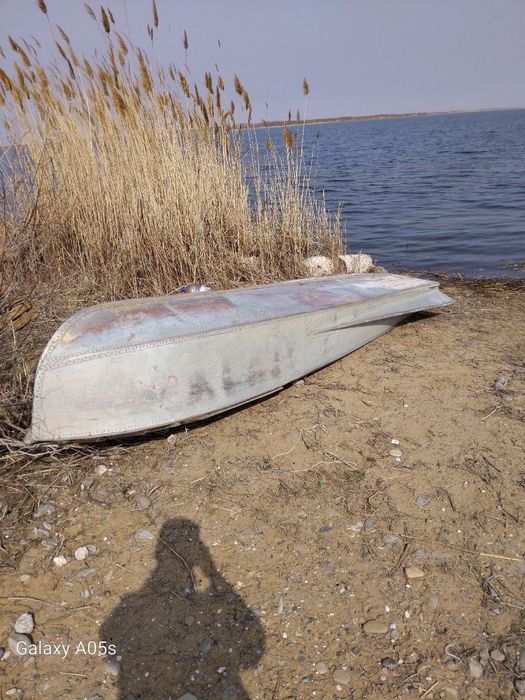 Казанка крылатка