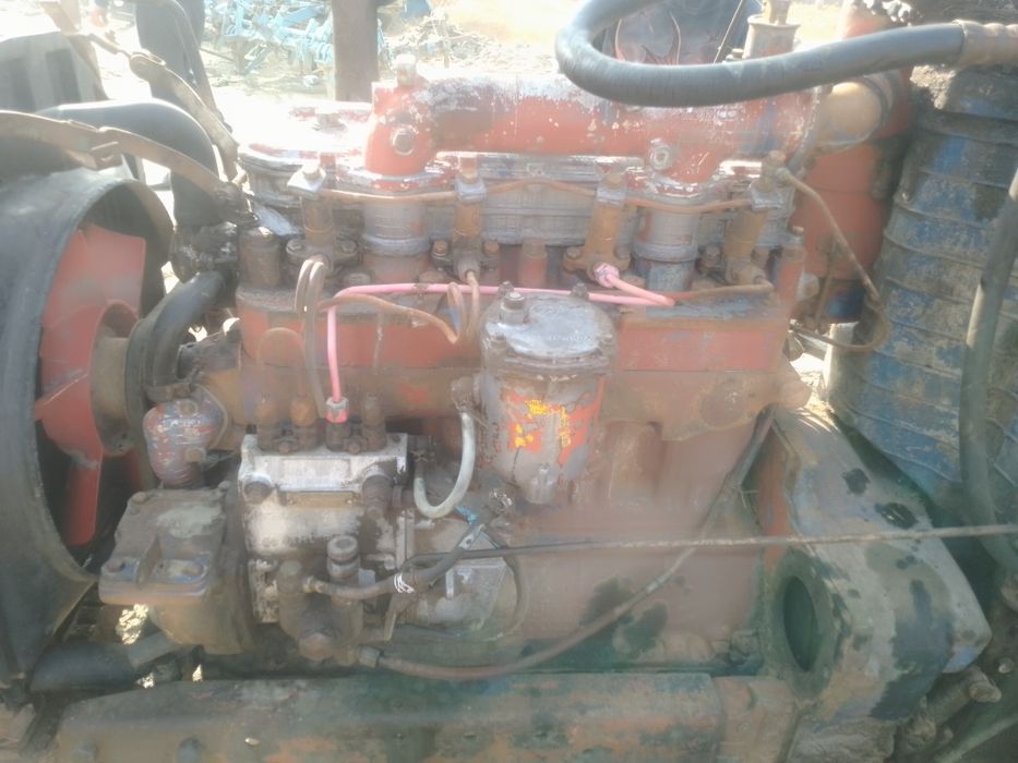 Kidi balgar 70 sotiladi