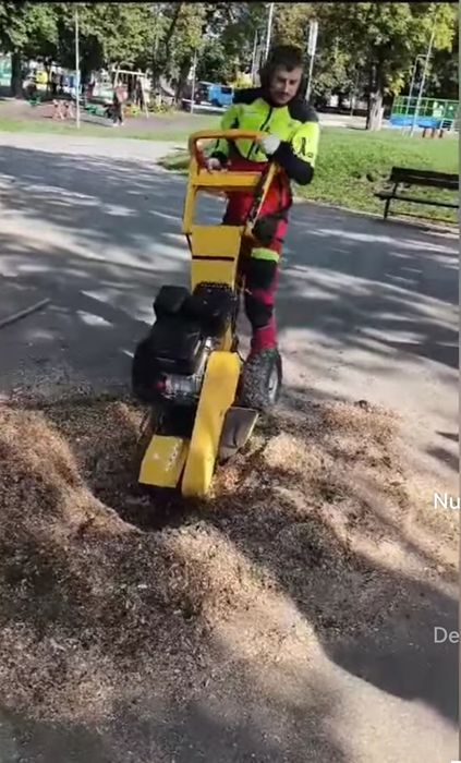 Frezare cioata, scos rădăcina, extirpare cioata