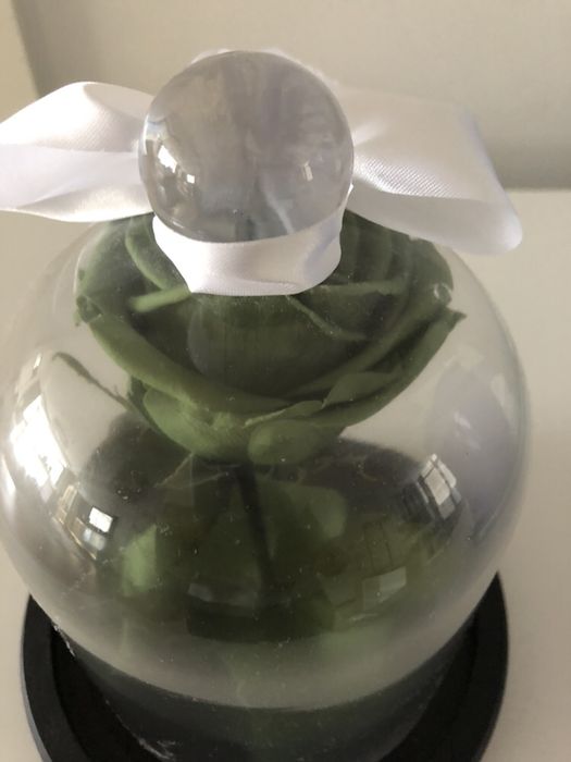 Роза в колбе