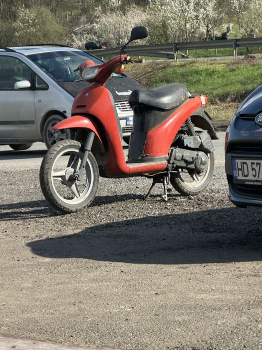 Dragonu rosu cros scuter