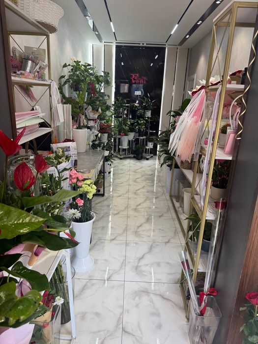 Срочно прадайутса офис лисинова первий линя