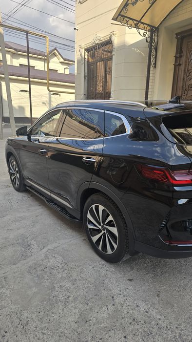 Бивайди чимпион гибрид