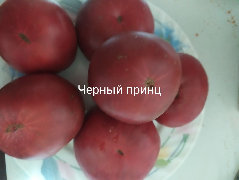 Продаются семена томатов  разных сортов:розовых,желтых,красных,гномов