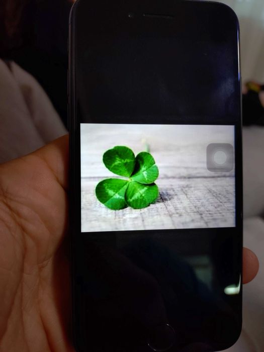 IPhone 7 S plus ползван