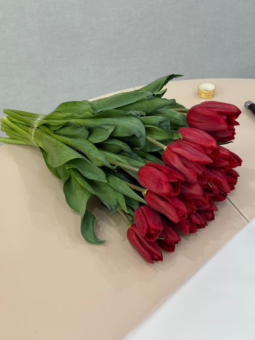 Тюльпан от теплицы к 8 марта