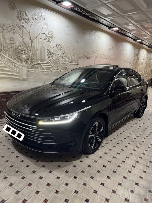 BYD Chazor 120 tali
