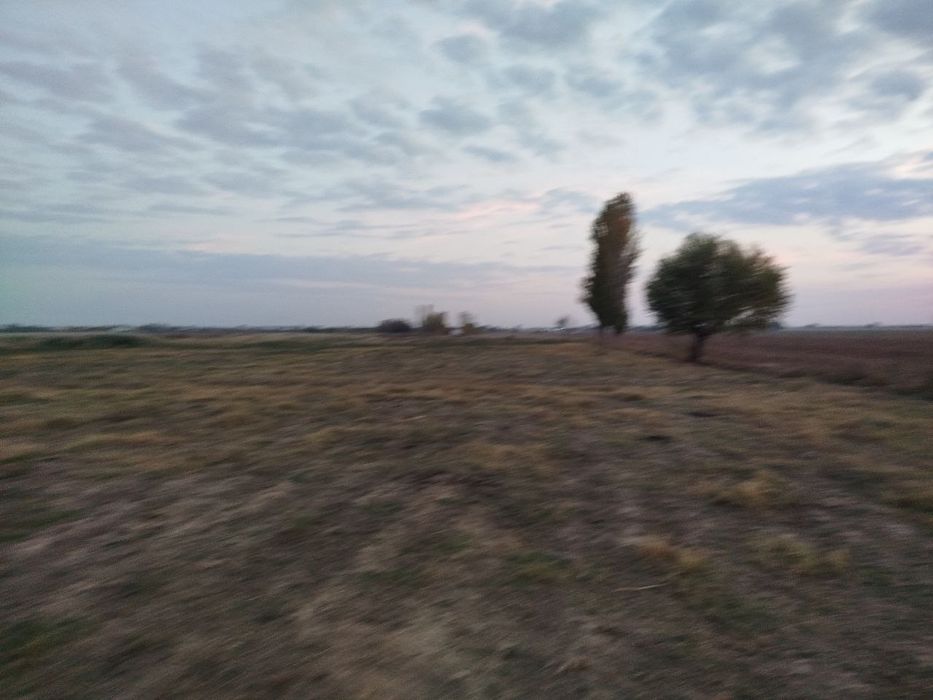 Toza yer joyi tomorqa