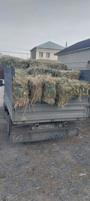 Камыс прес мощный