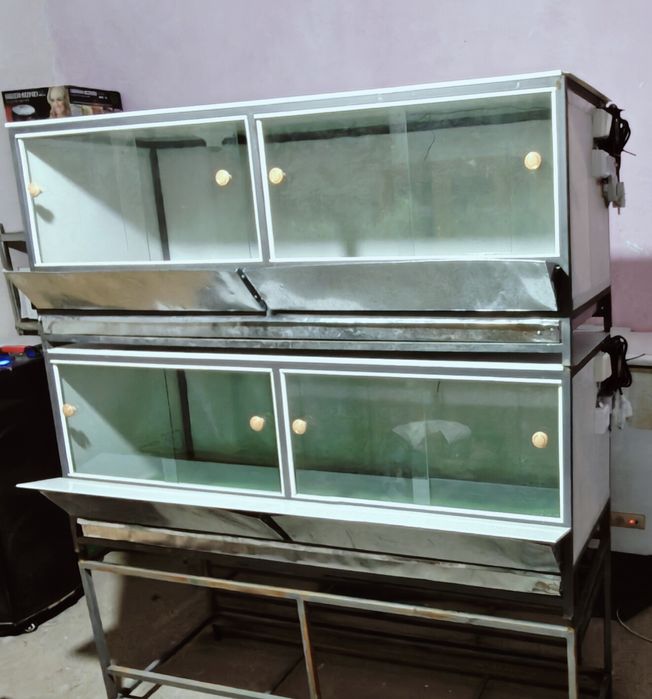 Bruder,  брудер jo‘jalar, жўжалар