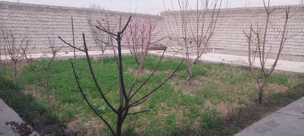 Земелный участок