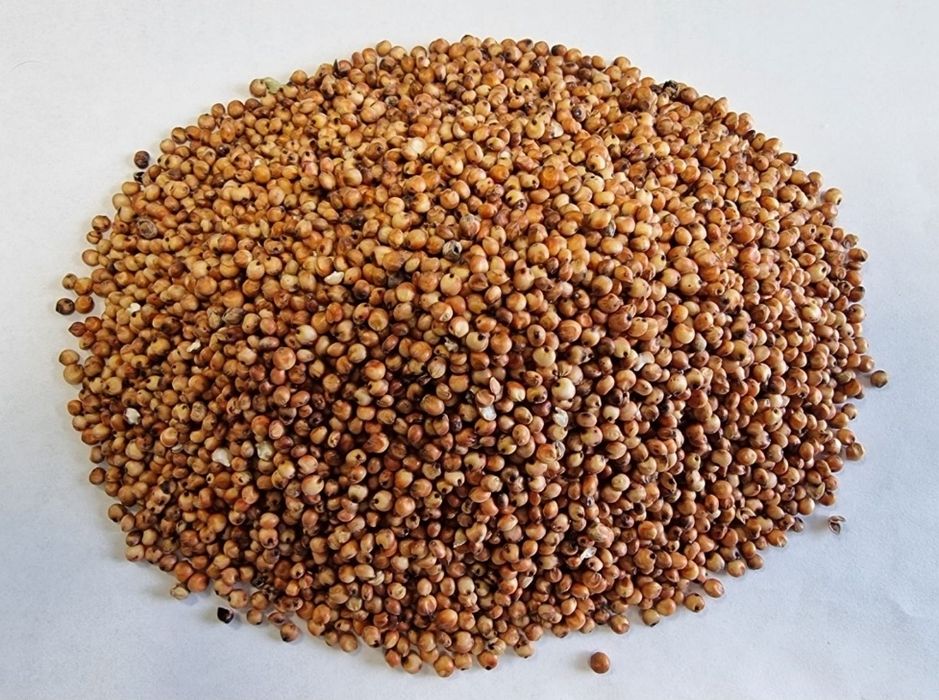 Vand sorg rosu 10 tone pentru porumbei