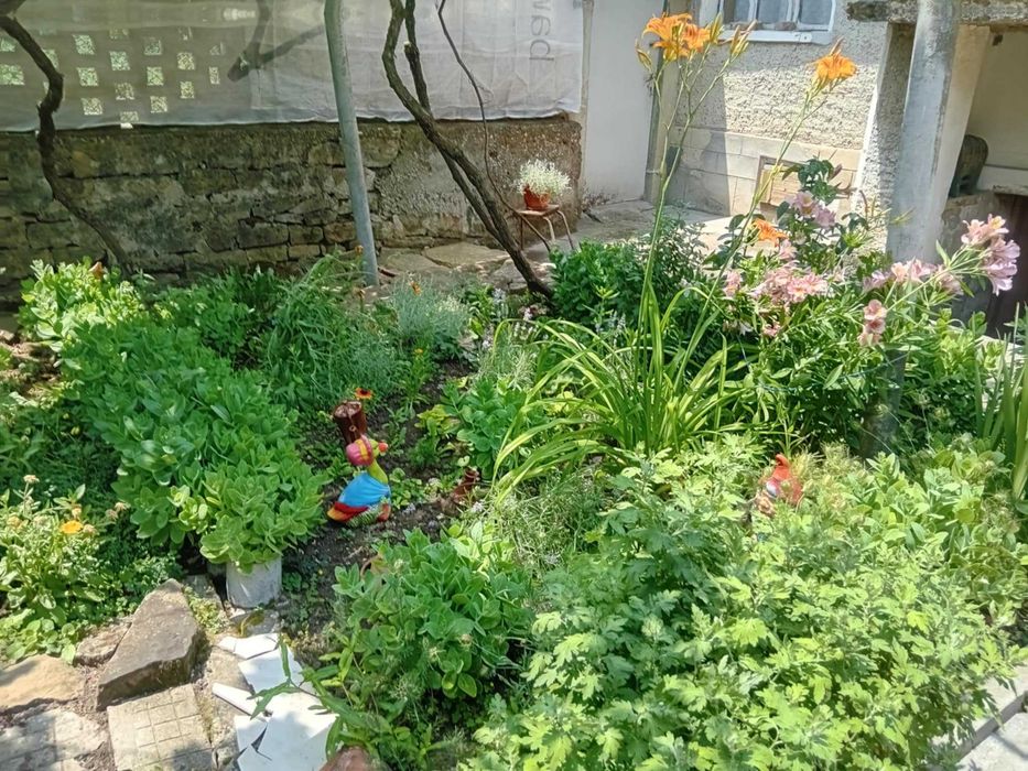Продава се Къща в с. Козаревец, Област Велико Търново - 1060 кв.м за 41 €/кв.м - Снимка #2