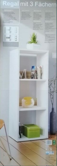 Регал с три рафта, Секция