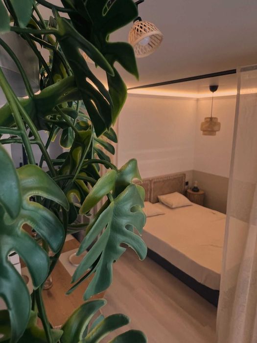 Inchiriere Studio White Titanic Mamaia Nord
