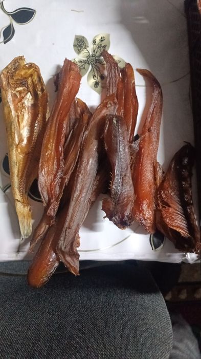 Капченыи балық халодныи капчения