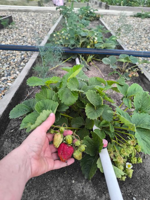 Продам дачу в районе Понтонного моста