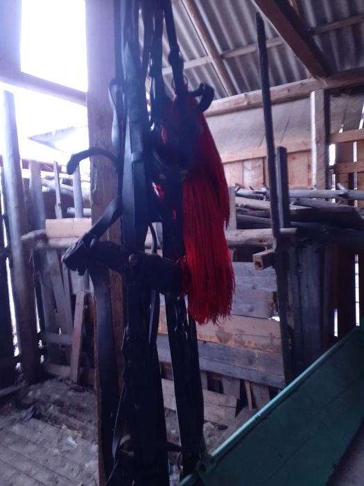 Vând ham pentru cai