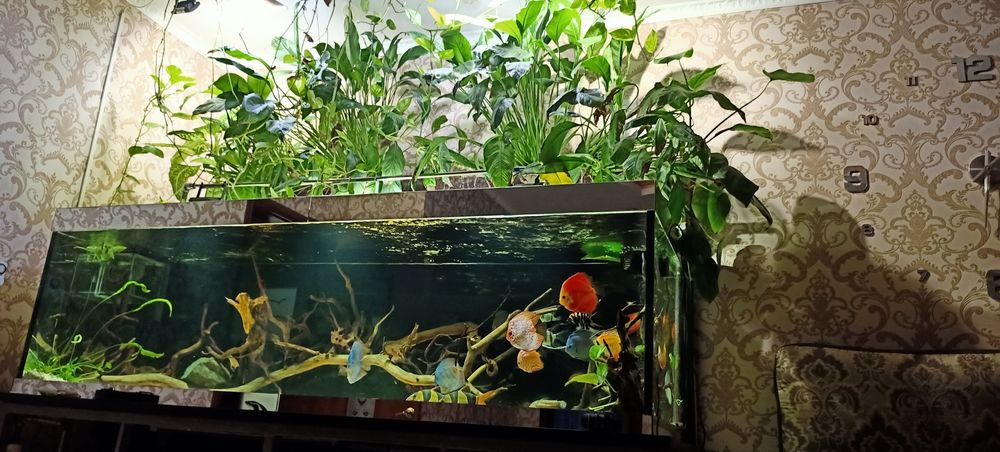 Продам аквариум 1600л.