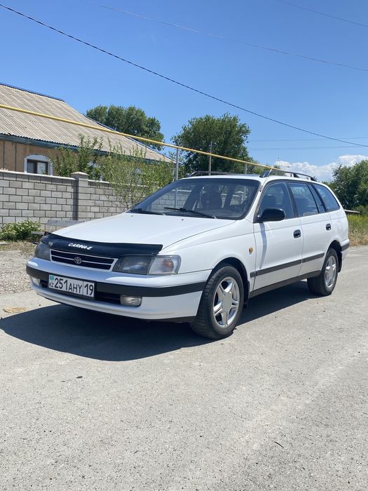 Срочно продам Живую карина Е
