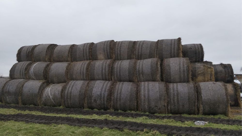 Baloti din paie de grau