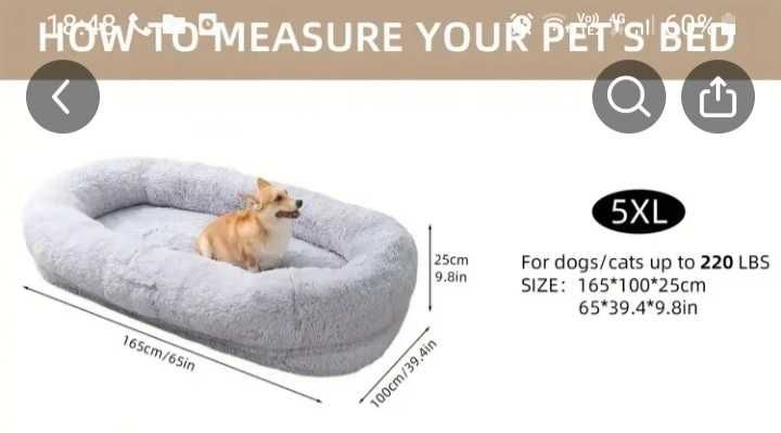 Голямо легло за човек и куче