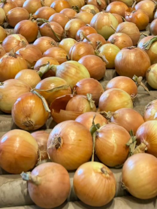 Vand ceapa galbena calibru 50-70