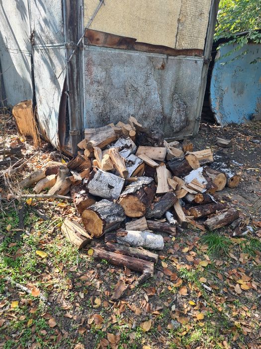 Дрова отдам бесплатно