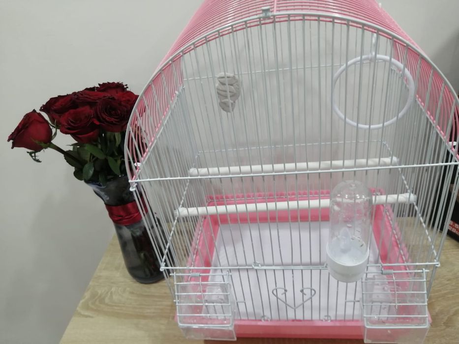 Продам сетку для попугая