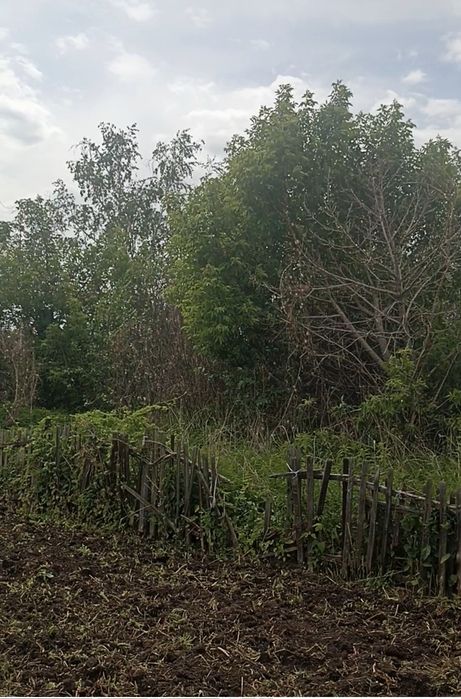 Покос травы вспашка земли