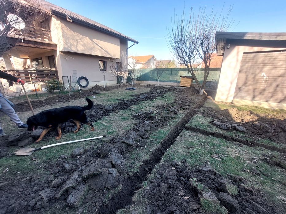 Ofer servicii de întreținere și amenajări grădini.