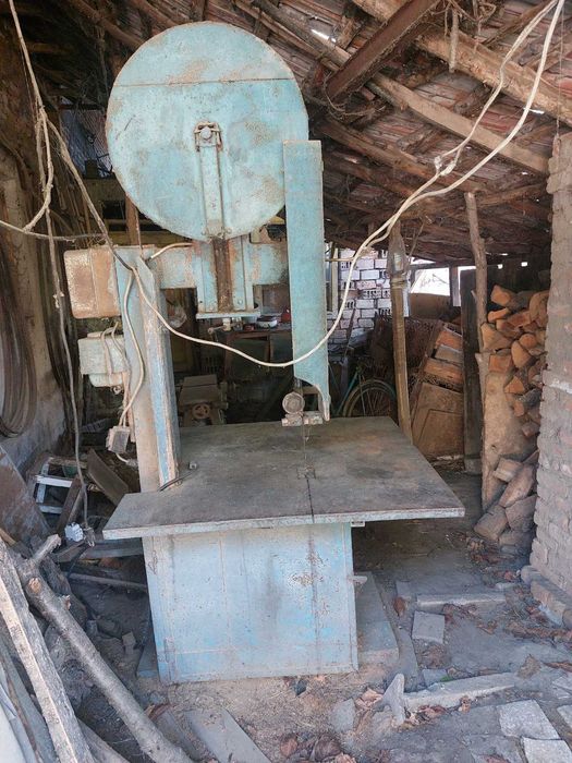 Професионален банциг