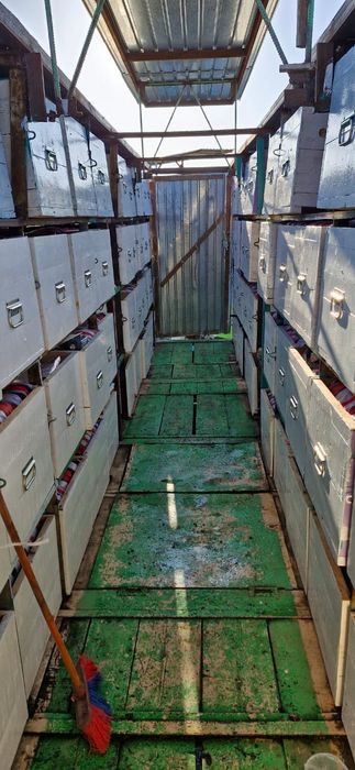 Пчелоповельён 9 метров