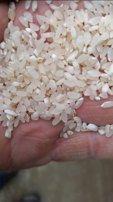 ЛИДЕР күріш (РИС)