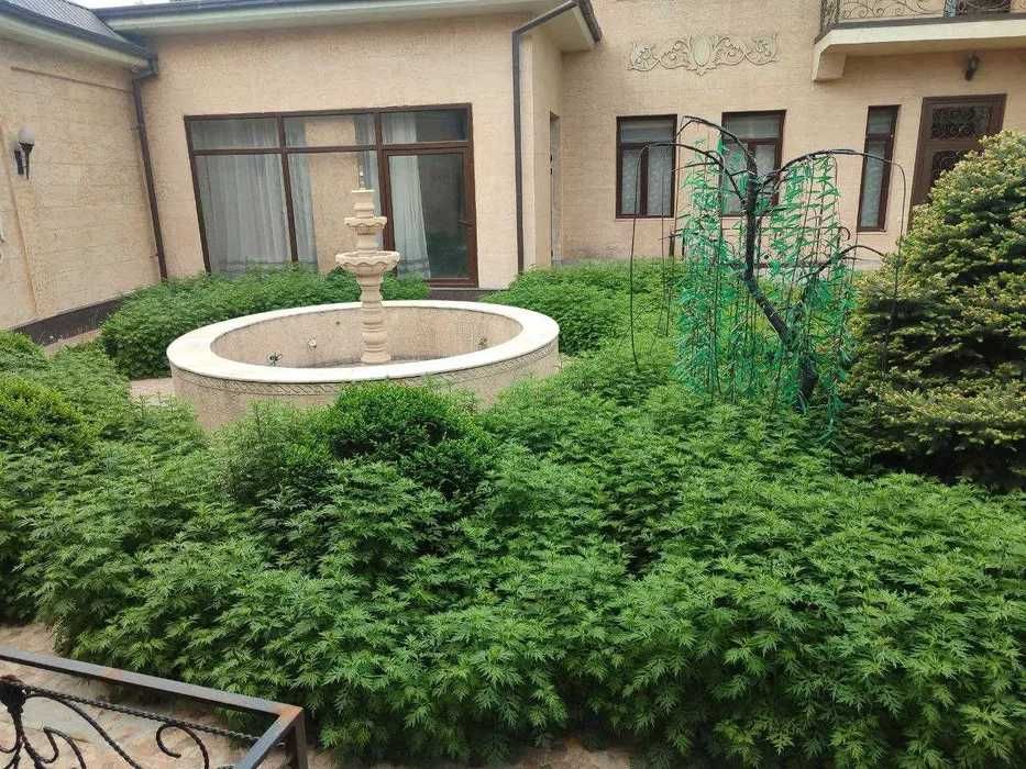 Сдам Евродом 3-соток на Никитина