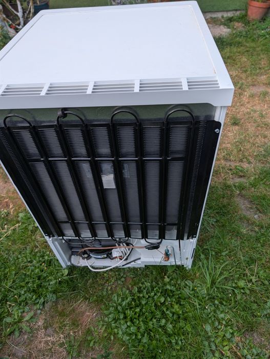 Congelator Miele