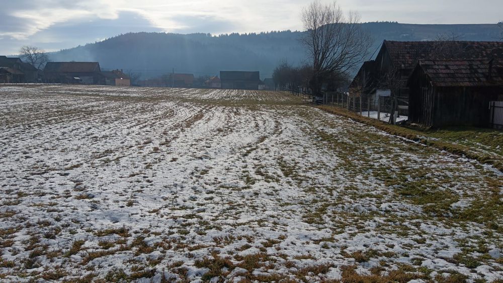 Grădină de vanzare 2200 mp