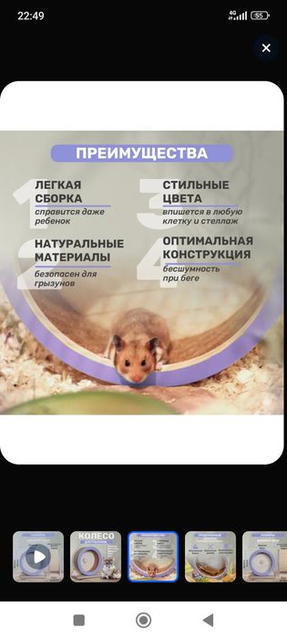 Колесо для сирийского хомяка