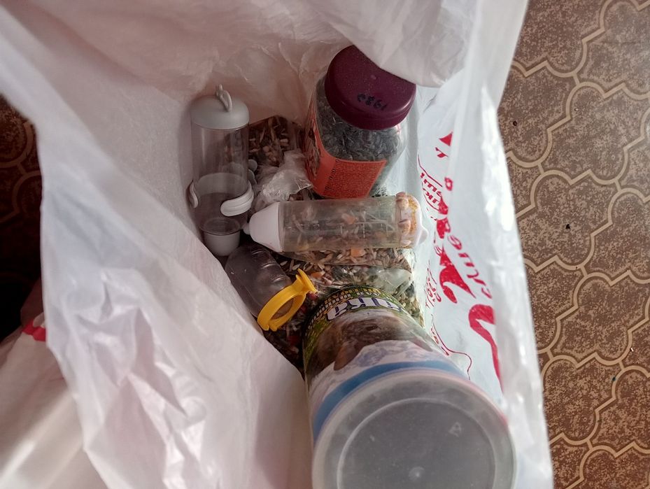 Продам хомяка с клеткой