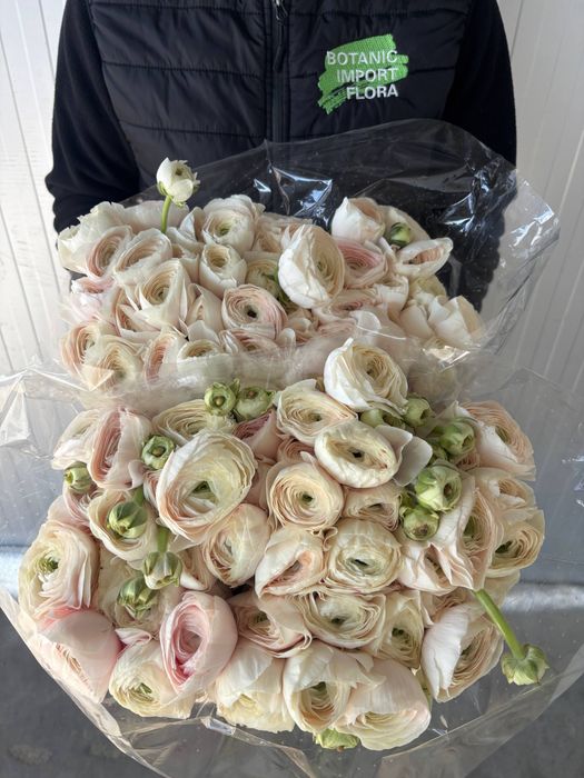 Цветы,доставка цветов,пионы,букет роз