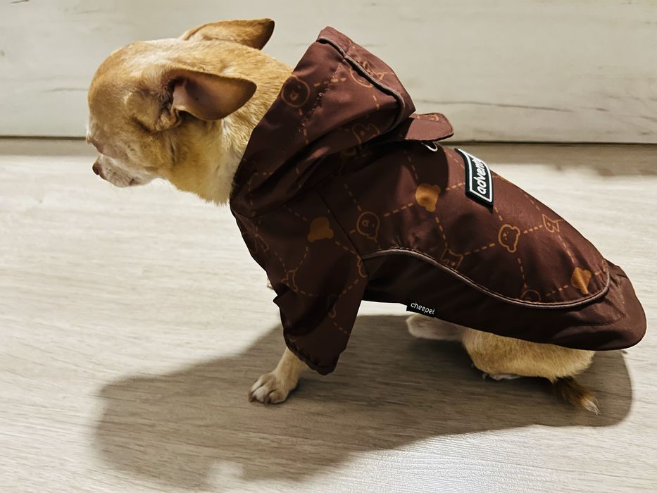 Дъждобран за кучета