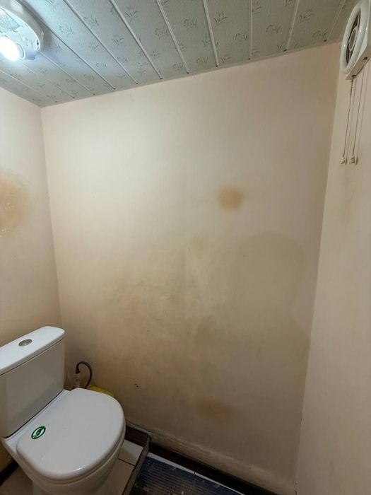 Сагдяна СамКоч 2хонали