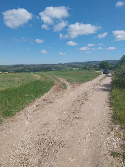 Продава се Парцел в с. Старо Оряхово, Област Варна - 3120 кв.м за 12 €/кв.м - Снимка #6