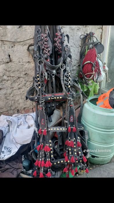 Vând Ham în optar șeptar de 20 vreau să schimb cu o iapă