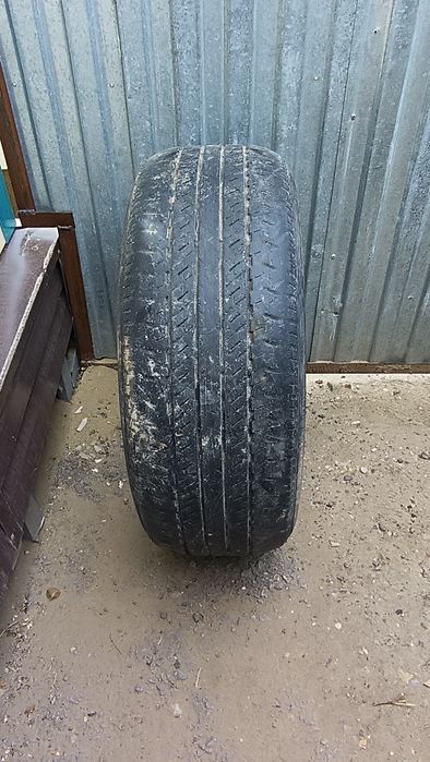 Продам шины р 19 летний