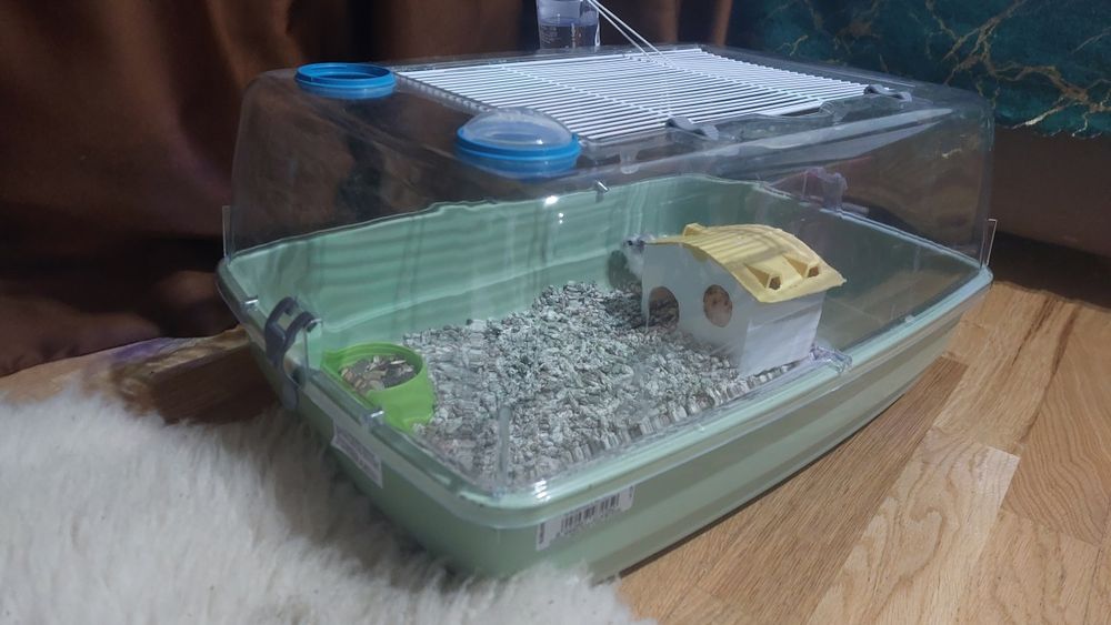 Vând hamster +cușcă și accesorii