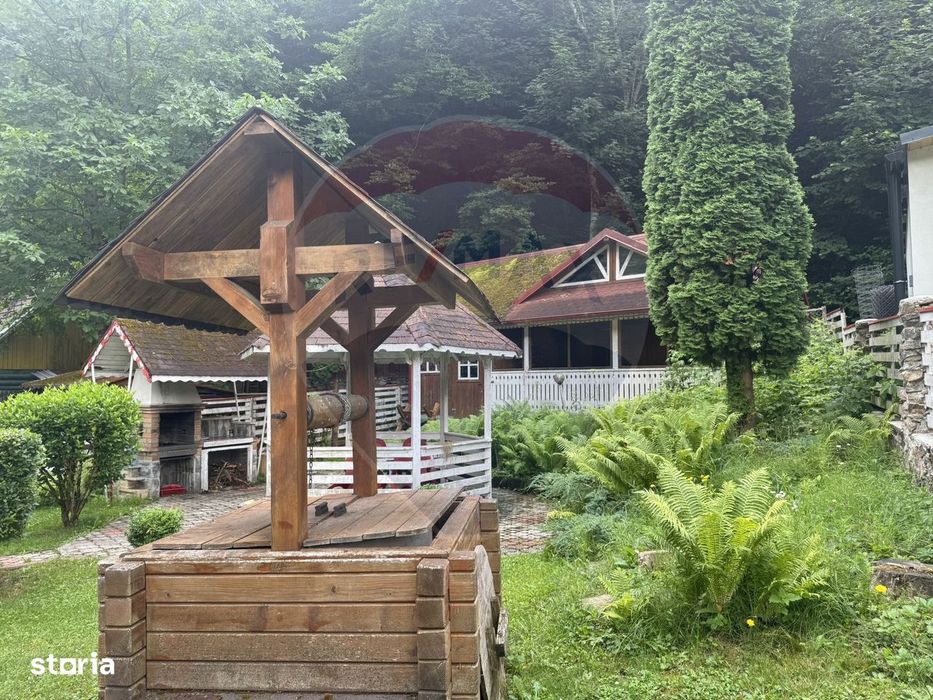 Cabana autentica de munte Frasinet - Baisoara 600 mp teren