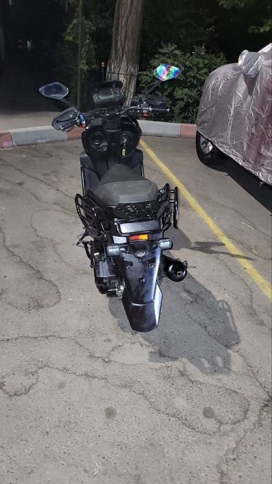 Moto tank  mototsikl