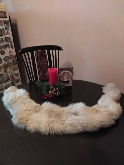 Сребърна полярна лисица