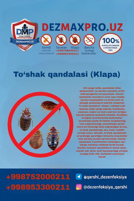 DEZMAXPRO.UZ – Қашқадарёдаги профессионал дезинфекция хизмати!